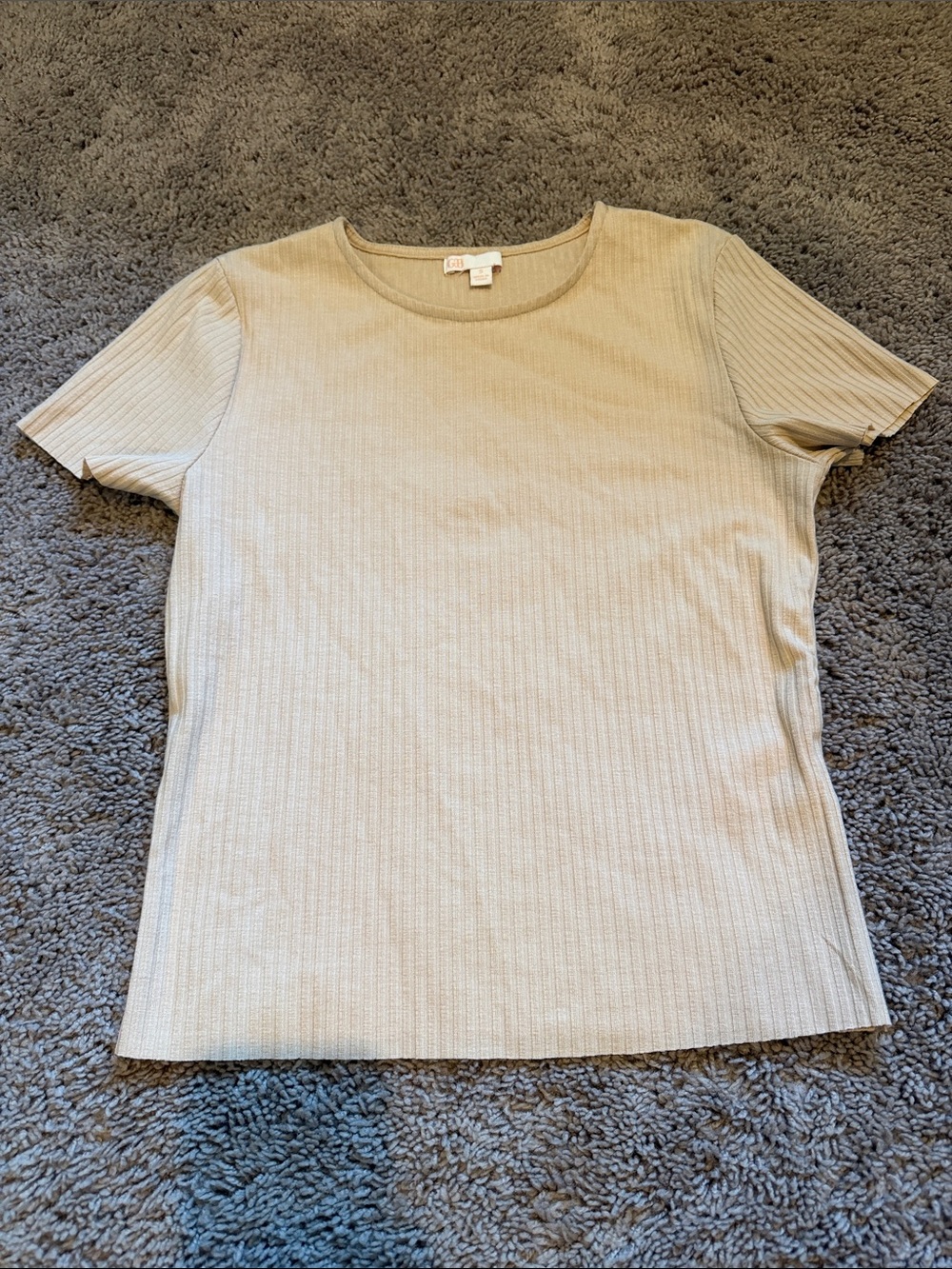 Gianni Bini Ribbed Short Sleeve Tee in Beige